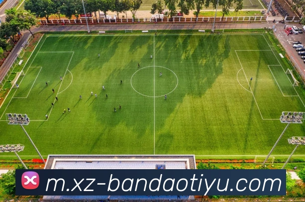 App Interface Preview